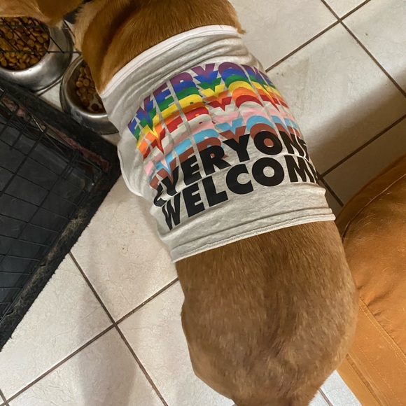 Pride Pet Costume-NWT-Size Large Tee & Tutu Dogs/Cats-LGBTQ+ - Picture 3 of 7